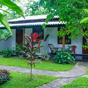 https://nimsara-lodge-sigiriya.kandyhotelsnow.com