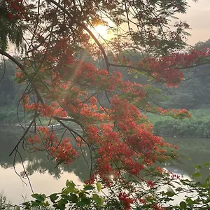 https://guesthouse.hotelsluangprabang.com