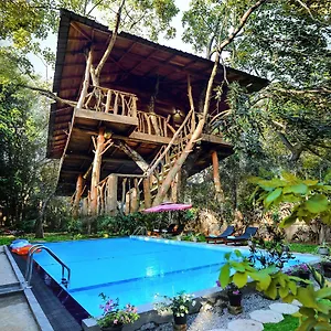 https://lotus-eco-villa-sigiriya.kandyhotelsnow.com
